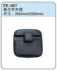 FX-007: Chunlan Truck Convex Side Mirror   |   春兰中方镜